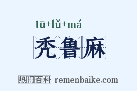 秃鲁麻是什么意思的图片